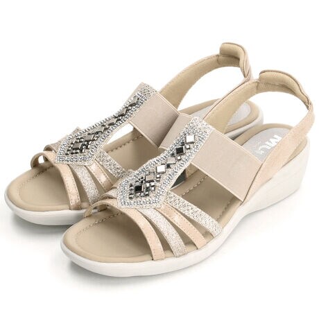 [^:6884]MUUM@yyʁzLLrWESXgbvobNxgT_POINTE3ނ̃rWEPZ^[XgbvEbSpbhT|[gES5mmᔽNbVDݍ݂܂EObv̍yʃAEg\[y