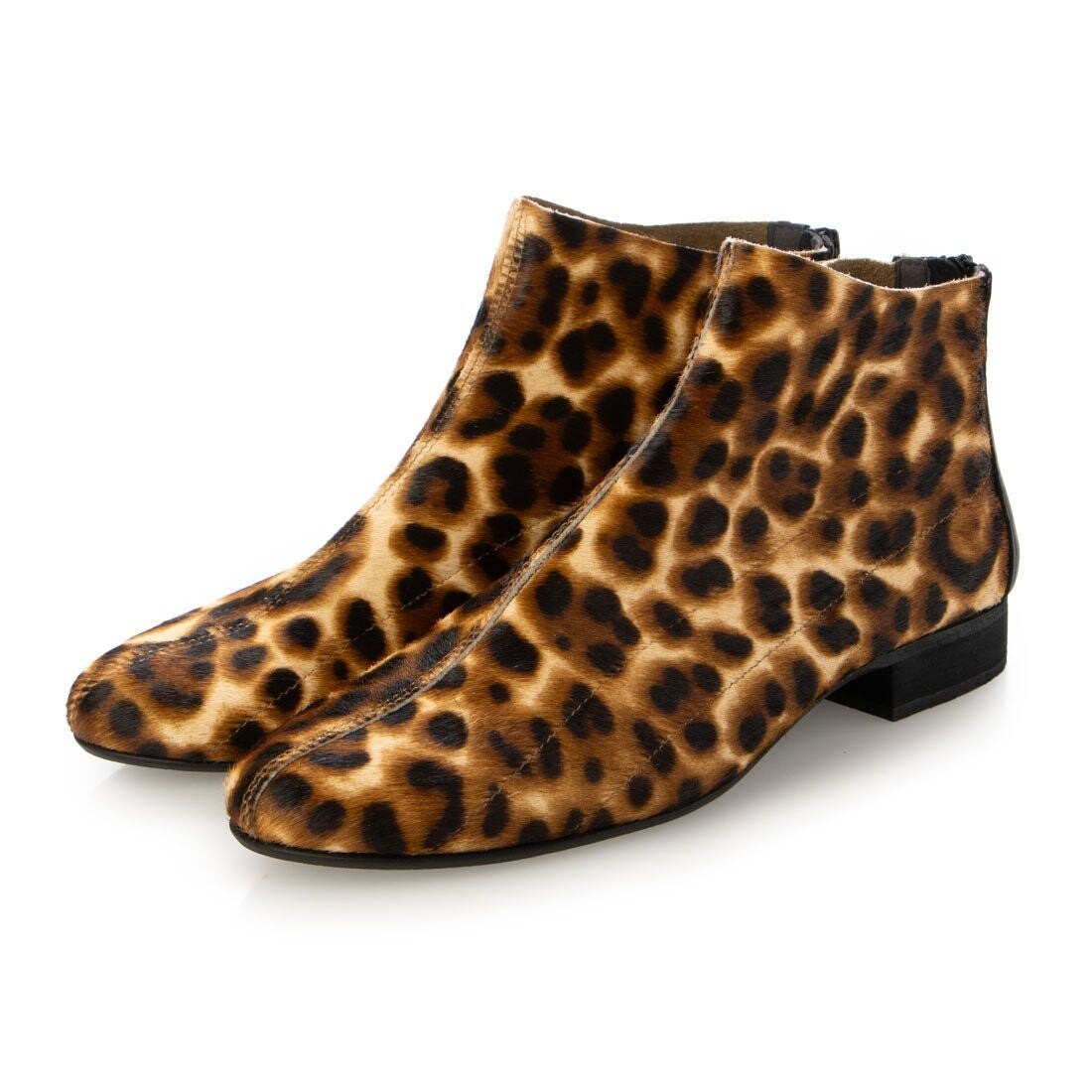 [}C]24H~V2.5cm{vꖇdă\tgANu[c/N[iCreerj uE