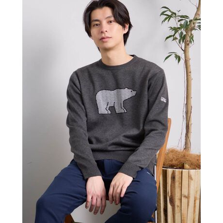 [^:312RE602]OɎ{ꂽN}ȂAACRɂȂĂāASnQIƒ\ȃACeȂ̂łȒPIE[gpĂ̂ŁAnɏ_炩܂BɃVc킹ĂłAꖇŒĂT}ɂȂAƂẴACełI 