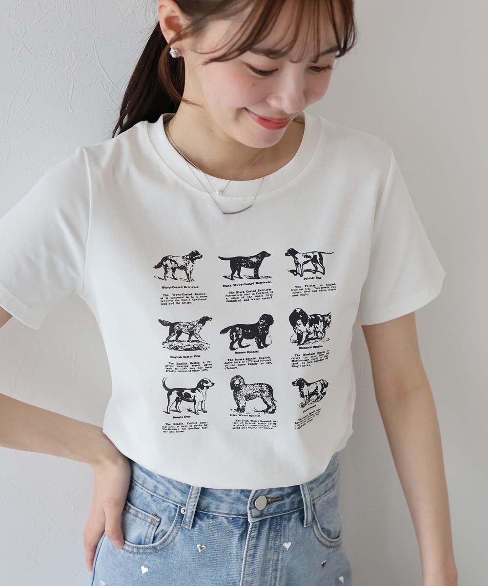 [}C]DOGA\[gvgTVc/u[C[XgiBLUEEASTj zCg