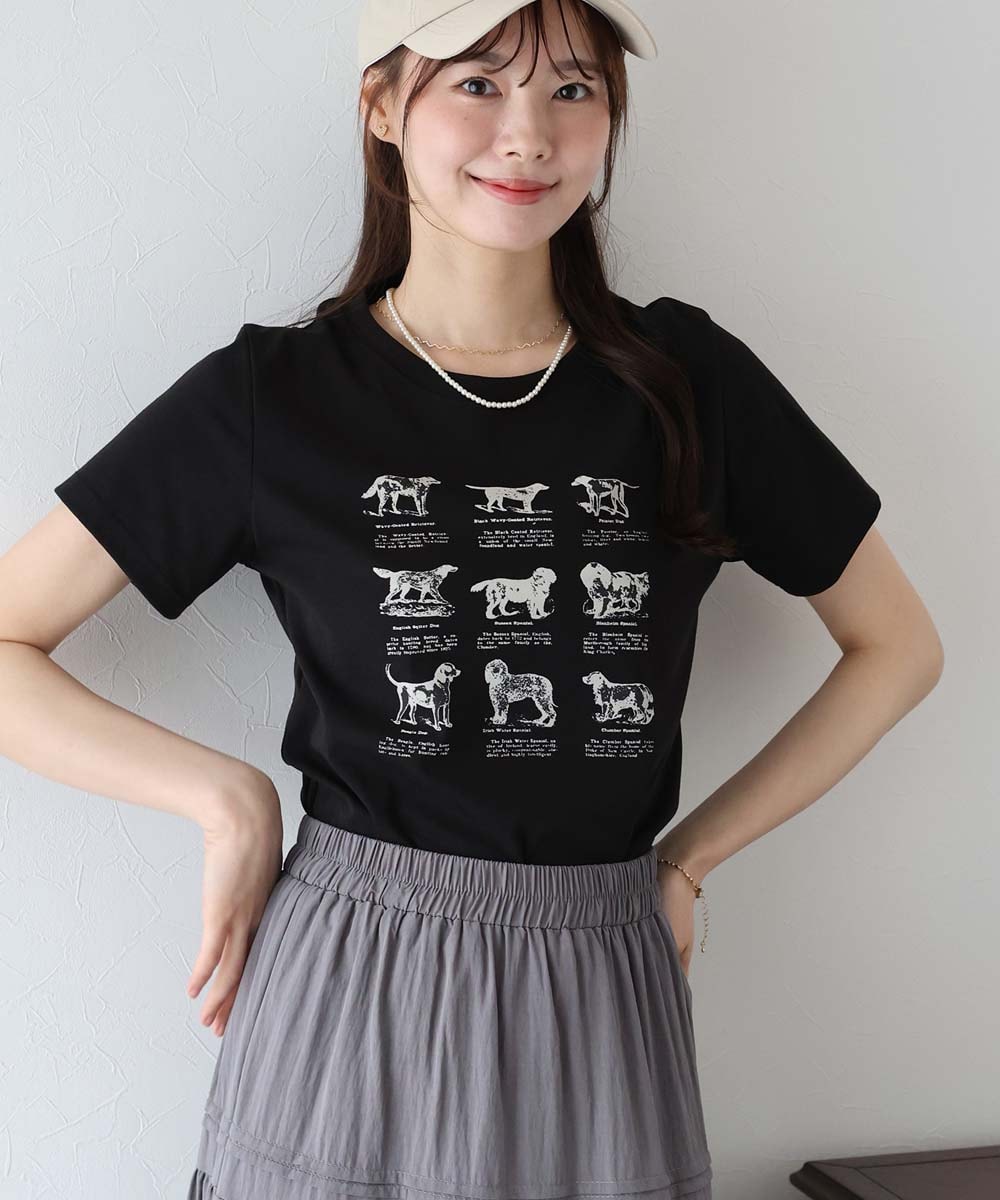 [}C]DOGA\[gvgTVc/u[C[XgiBLUEEASTj ubN