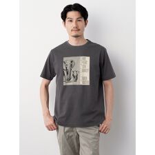 ｱﾆﾏﾙﾌﾟﾘﾝﾄ半袖T(elephant)