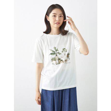 [^:6250764][^:6250764]_炩ȕ̖ȓVfނɐʒ̐AvgTVcBi`ŗD͋C̐ʃA[gvg͑lł₷dオɁBx[VbNȃTCYȂ̂łP͂AHDuEXJ[fBK̃Ci[ƂĂd󂵂܂B