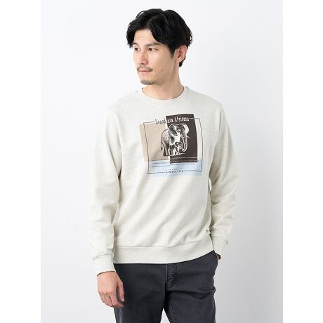 [^:7250725][^:7250725]uhIWĩAj}vgTg[i[B厩R̒ŗIXKɕ炷̎pɗVѐSsIȃfUCɁB炵A}ChEGCWXȑlɂ߂1Bfނɂ́AiȌ򊴂Ɗ炩ȔGXEFbgfނgpBJWAɂVbNɂARȒȂy߂ACeB