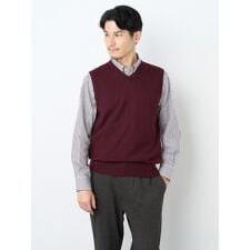 エレメント オブ シンプルライフ(element of SIMPLE LIFE)のＶネックウォッシャブルニットベスト