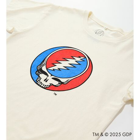 [^ԁFWT9032-0001]100łƂSnTVcɁAGRATEFULDEAD̑\IȃACRłXeB[EAEtFCXXJvgfUCB