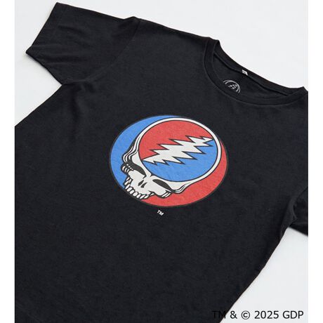 [^ԁFWT9032-0001]100łƂSnTVcɁAGRATEFULDEAD̑\IȃACRłXeB[EAEtFCXXJvgfUCB