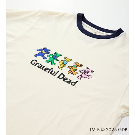 [^ԁFWT9031-0001]AJW̒ԃACeł郊K[TVcB_VOExA?tgɃvgfUCB