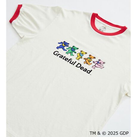 [^ԁFWT9031-0001]AJW̒ԃACeł郊K[TVcB_VOExA?tgɃvgfUCB