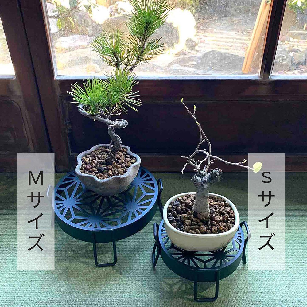 木製の台座 ミニ盆栽 植木鉢 | settannimacchineagricole.it