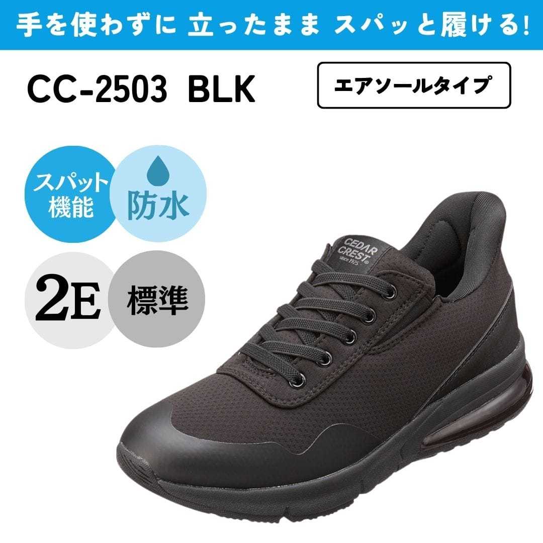 ブライスカスタス用品 765122045 BLITZ エアクリ C-HR ハイブリッド ZYX11 2ZR-FXE