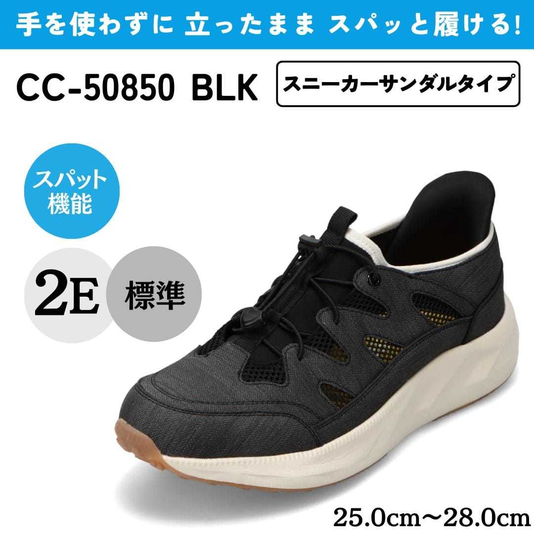 [}C]XpbgV[YiXj[J[^Cvj bV g킸ɗ/Z_[NXgiCEDAR CRESTj ubN