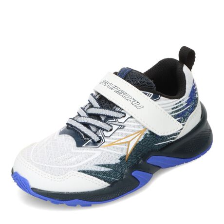 [^:SJJ 2081K]uuvV`[^[fBX^[g_bVƃR[iObvňЗ͂𔭊`[^[\[ڃfBANZSJōőڎwI