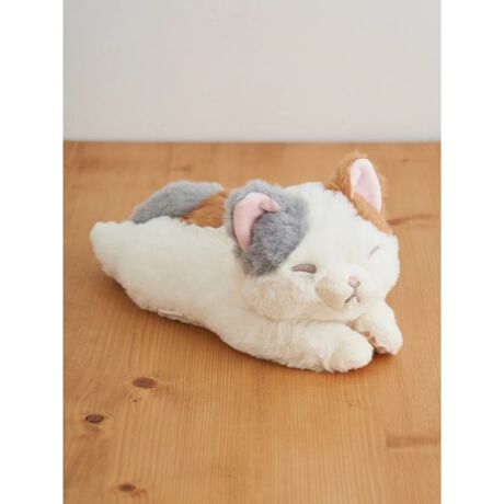 [^ԁF25410641028]̂тƂOєLfUĈƂтNbVB̎GŐSn悭Aɖ^Ă܂BfXN[ÑA[XgƂĂgACeBp؂ȕւ̃v[gɂ߂łBHare no hi/nmq