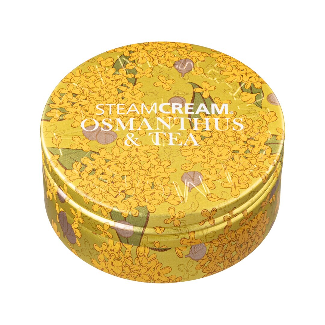 [}C]X`[N[ X`[N[ LNZC&/X`[N[iSTEAM CREAMj