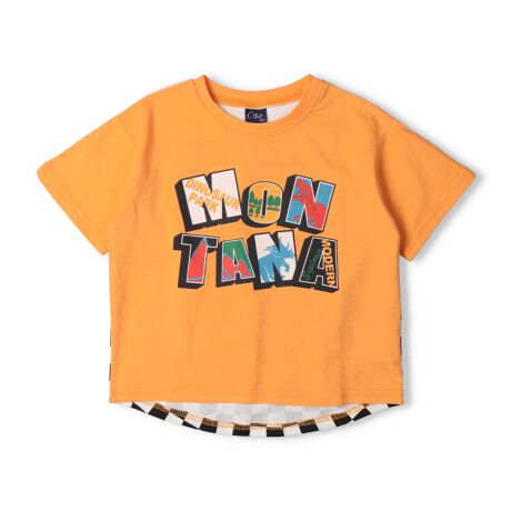 [^:N34891]CpNĝ郍SOtBbNvgB_ɐ؂ւobNX^CڂfUC̔sVcB1ōXg[gR[fBixr[TCŶ݌{^dlɂȂ܂BjyACezgbvX  JWA  IV  킢  i fC[EFA o  O OVђ qǂ ǂ  j j̎q {[CY LbY xr[TCY gh[TCY ct ۈ牀 wZ ʉ ʊw w 2025NtĕV ۍߗ@IW@lCr[@F@`FbN@XgCv@