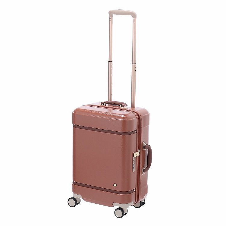 [}C]X[cP[XS @݃TCY 31L ng m[g/ngiHaNTj o[ubN