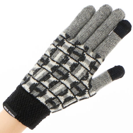 [^:5121ML2040103]g`bNȃWK[hBJtXIȕҒnIȃfUCłB