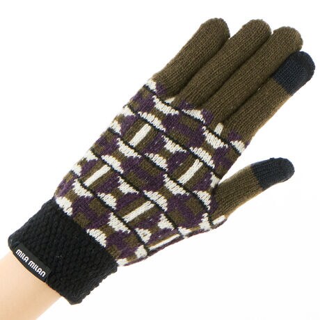 [^:5121ML2040151]g`bNȃWK[hBJtXIȕҒnIȃfUCłB