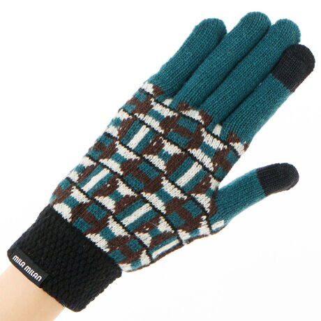 [^:5121ML2040161]g`bNȃWK[hBJtXIȕҒnIȃfUCłB