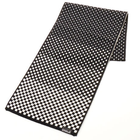 [^:5172AB0430101]nCQ[W̃WK[hjbgB`FbJ[̃Of[VfUCłB