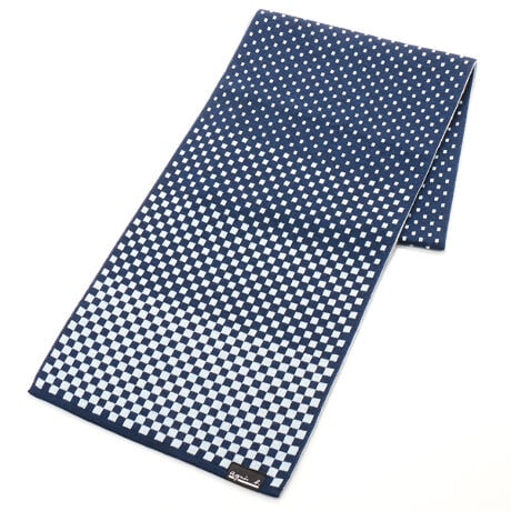 [^:5172AB0430171]nCQ[W̃WK[hjbgB`FbJ[̃Of[VfUCłB