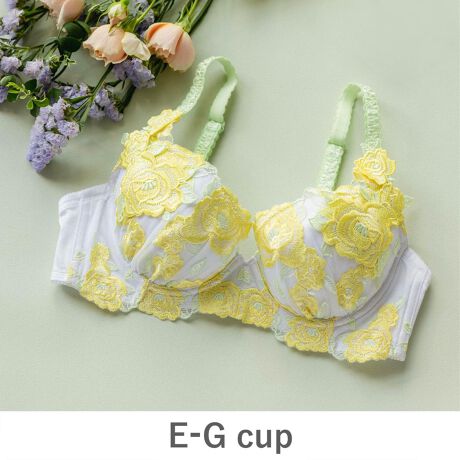 [^ԁFg690-efg]-- {fBCN̐^ --oXg̔Y݂ߕtfran de lingeriéu炭炭␳vBGRACEV[Y͏iȊۂoXgCNƈ芴̂钅Sn͂łB-- S[WXKNhJ --؂₩ŃS[WXȃ[YhJiȑl̏ɁBGKgȃZNV[ǋBiFGRACE ist Grande (O[XCXgOf uW[iC[Lj)TCYWJF E65 E70 E75 E80 E85 F65 F70 F75 F80 F85 F90 G65 G70 G75 G80 G85 G90fލ\ : |GXe iC ̑i : {fBCN̐^ F{ YF @@----------------------Jbv^Cv: oC[C[: LFtC[Jbve: 3/4pbh: pbhLtbNAC1(i): 2i3tbNAC1(ΏۃJbv): E65-E85,F65-F70tbNAC2(i): 3i3tbNAC2(ΏۃJbv): F75-F90,G65-G90Xgbv1(mm): 18mmXgbv1(ΏۃJbv): EJbvXgbv2(mm): 20mmXgbv2(ΏۃJbv): F-GJbvXgbvt: s