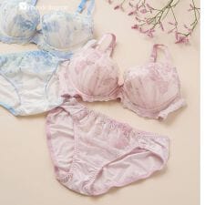 フランデランジェリー(fran de lingerie)の刺繍レースのベーシックデザイン自分らしいバストに「フランスタンダード006」ブラジャーショーツセット
