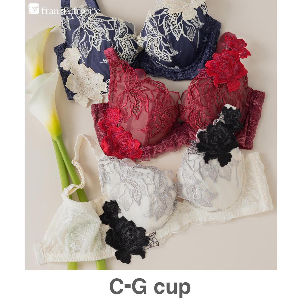 フランデランジェリー(fran de lingerie) レディース の一覧
