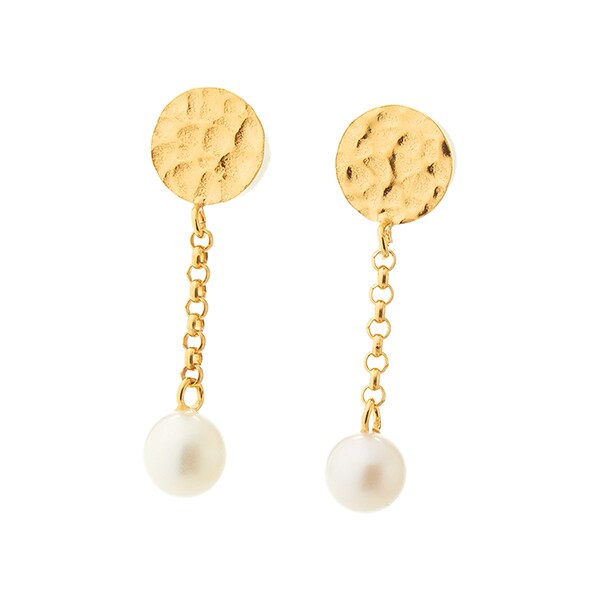 [}C]W^Ɗی`Ȗږ͗l̃Vo[sAX/v{iplusbonj S[h