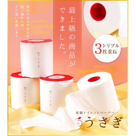 [^:4۰]݂̂ӂӂ̔G肪̃gC[AB3d˂ŎdグA炩݂̂ӂӂ̃gC[BɃmÂɂAsd˂ĒH蒅A^Ō݂̂ӂ^CṽgC[B2016Nɂ́AĂȂMtg܂܁Bi̐V[ɂ͂A蕨ƂĂ߂̈iłBp̐+̂Q̃Mtg{bNXB