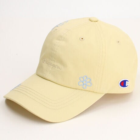 [^:161-0144]`sI cCt[Lbv`sIȂł͂̃JWAŃX|[ceCXg̐lCACe ghł郌gt[̎hJ|CgVvŖO̗ȂfUC \ TCY߉