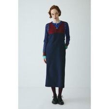 ヘリンドットサイ(HeRIN.CYE)の［予約］V neck long dress