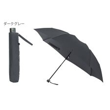 ポロ ラルフ ローレン(POLO RALPH LAUREN)の雨傘 折りたたみ傘 ポロポニー ロゴ ワンポイント 無地 グラスファイバー 軽量