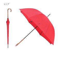 ポロ ラルフ ローレン(POLO RALPH LAUREN)の雨傘 長傘 ドット ポロポニー ロゴ ワンポイント 水玉