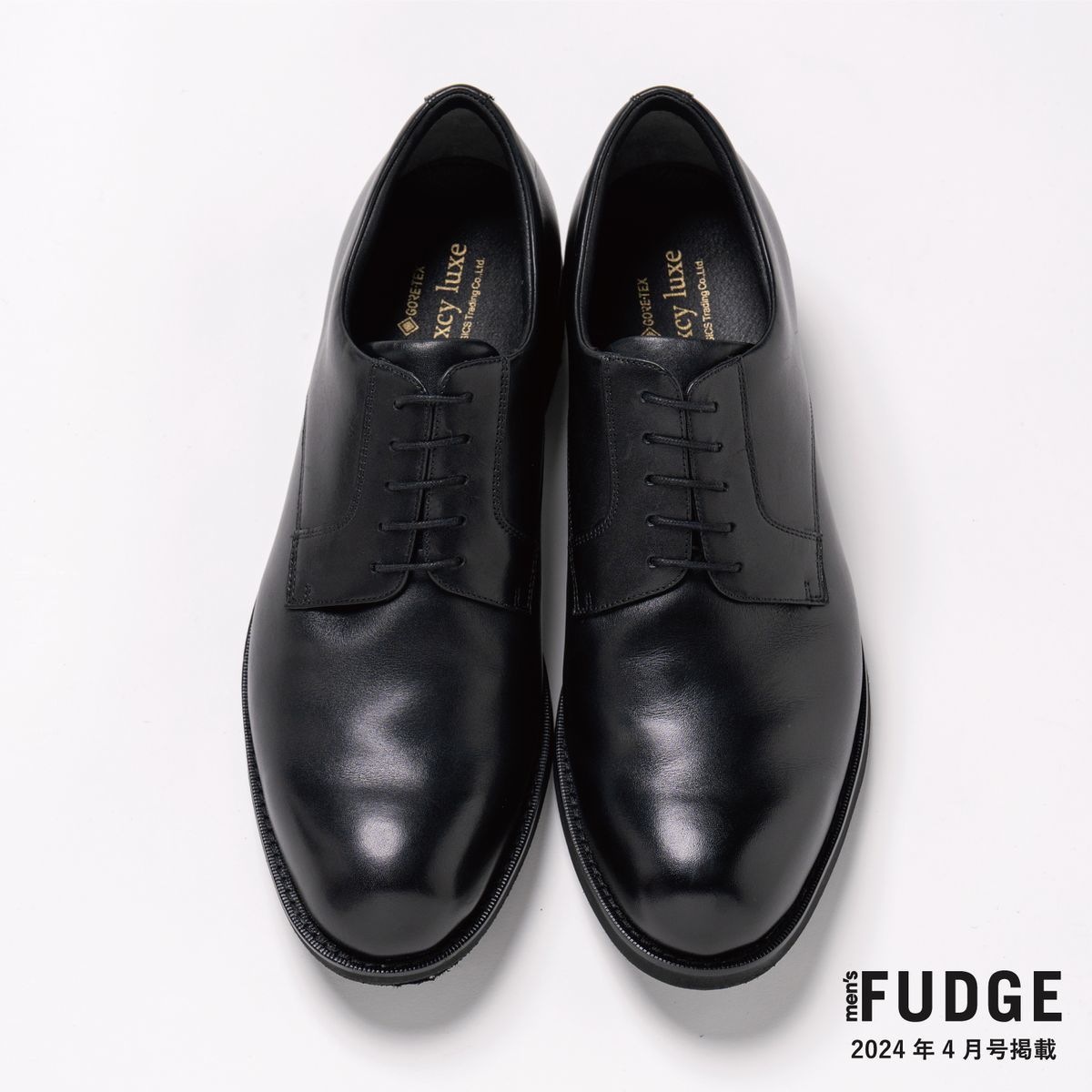 GORE-TEX！雨にもムレにも負けない | モンクストラップ | テクシー