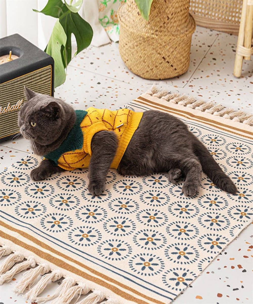 [}C]bRX^CO}bg/ACniaimohaj ̑26