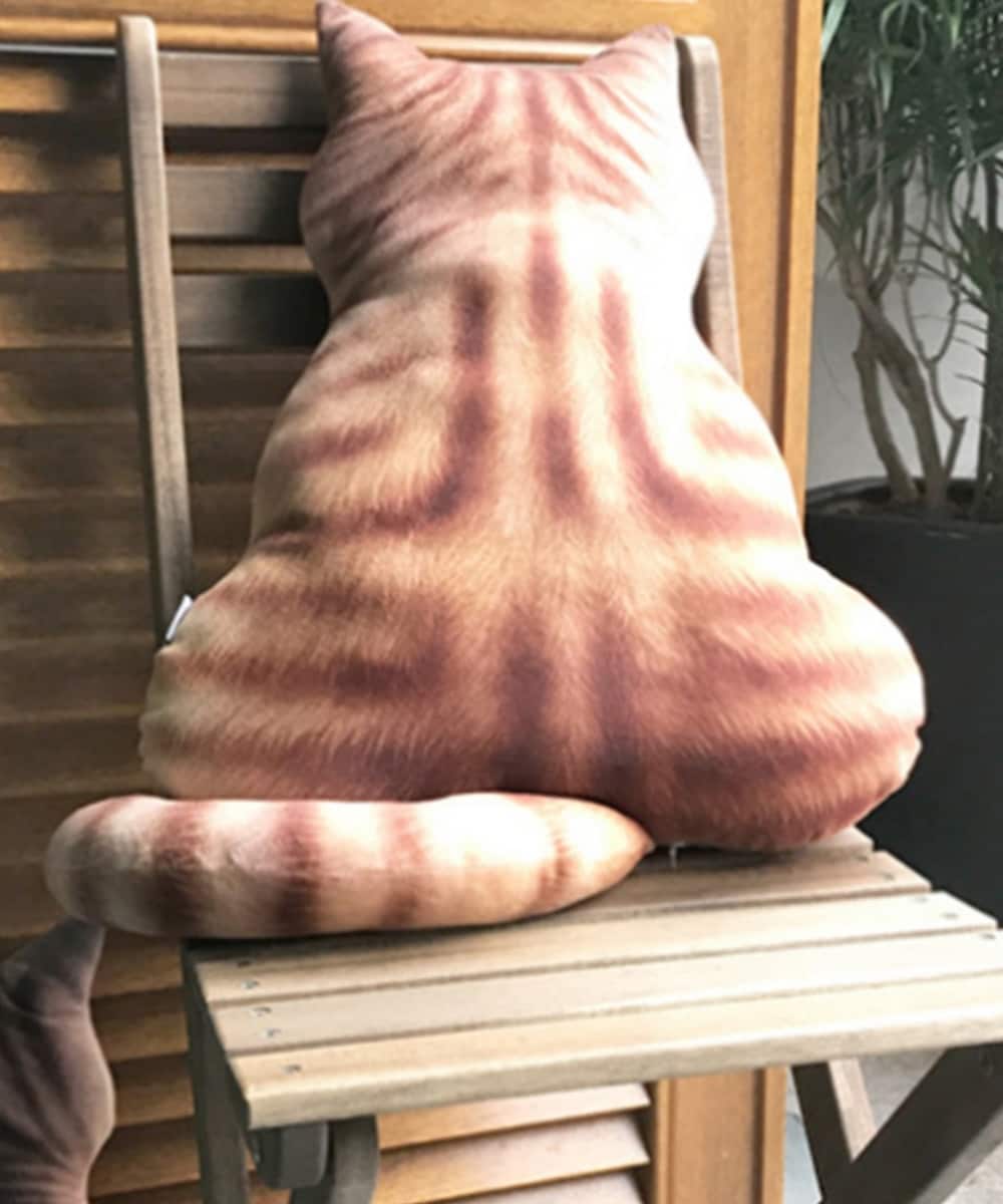 [}C]LwNbV/ACniaimohaj IW1