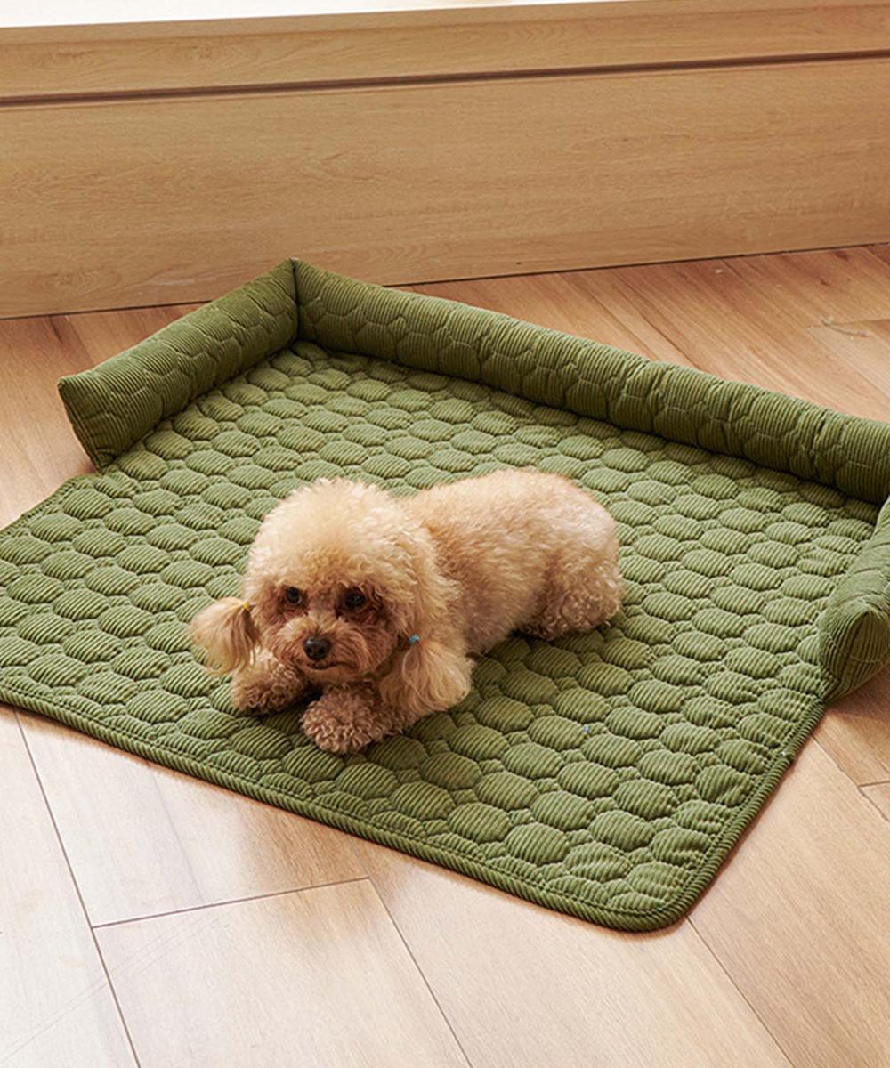 [}C]ybgp~ߕt}bg/ACniaimohaj O[