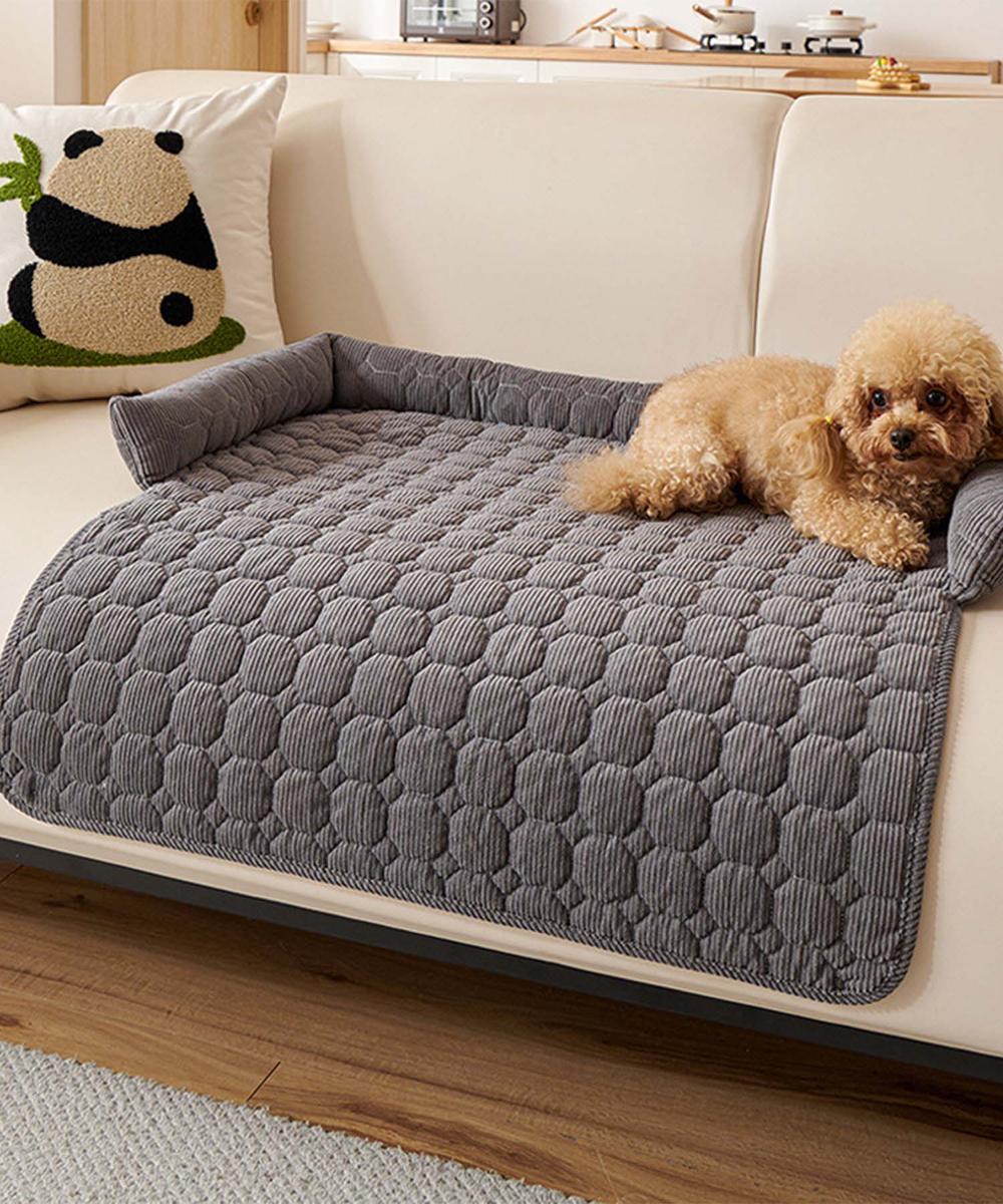 [}C]ybgp~ߕt}bg/ACniaimohaj _[NO[