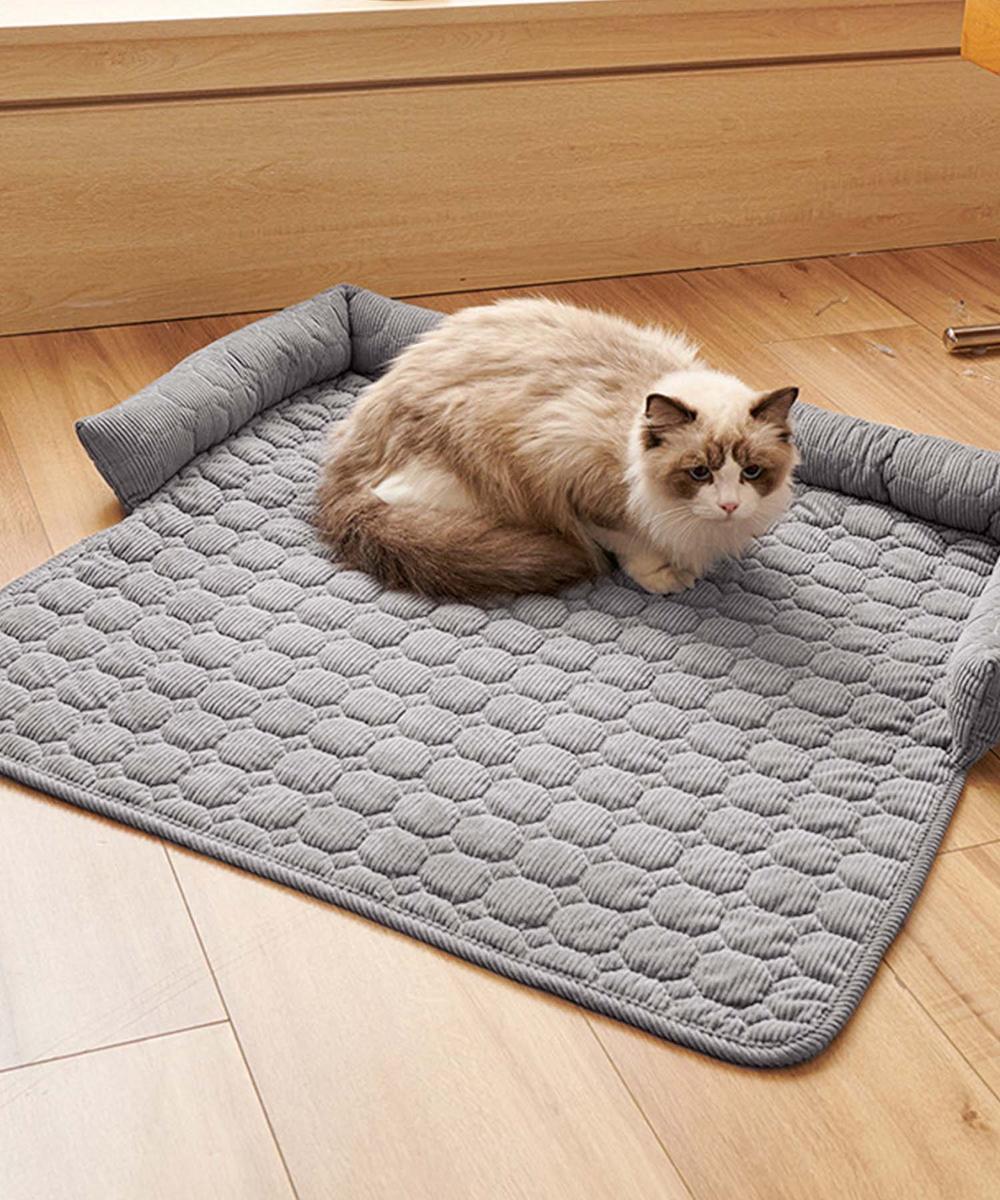 [}C]ybgp~ߕt}bg/ACniaimohaj CgO[