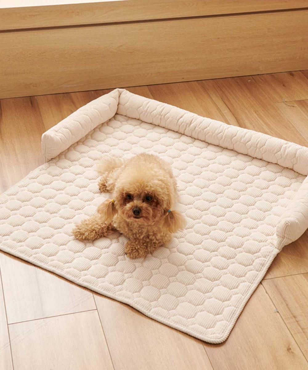 [}C]ybgp~ߕt}bg/ACniaimohaj ItzCg