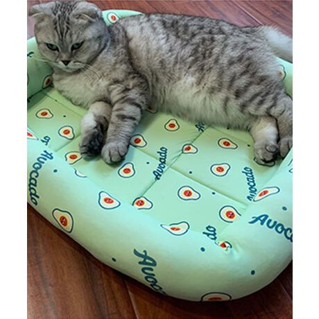 [^:xyz7055a]vg킢⊴ybg}bgłB⊴fނȂ̂ŏĂłKɉ߂܂Be͂̂}bgłAʋCǂ߁A∤L̐QƂčœKłBYɂāATCYdlقȂꍇ܂B