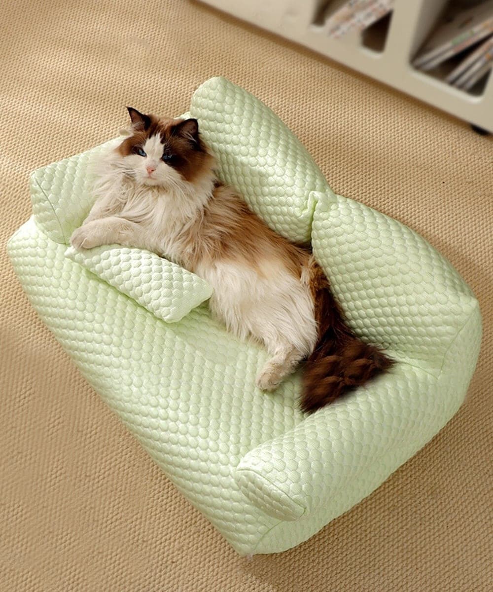 [}C] |R|Rybg\t@[/ACniaimohaj ~g