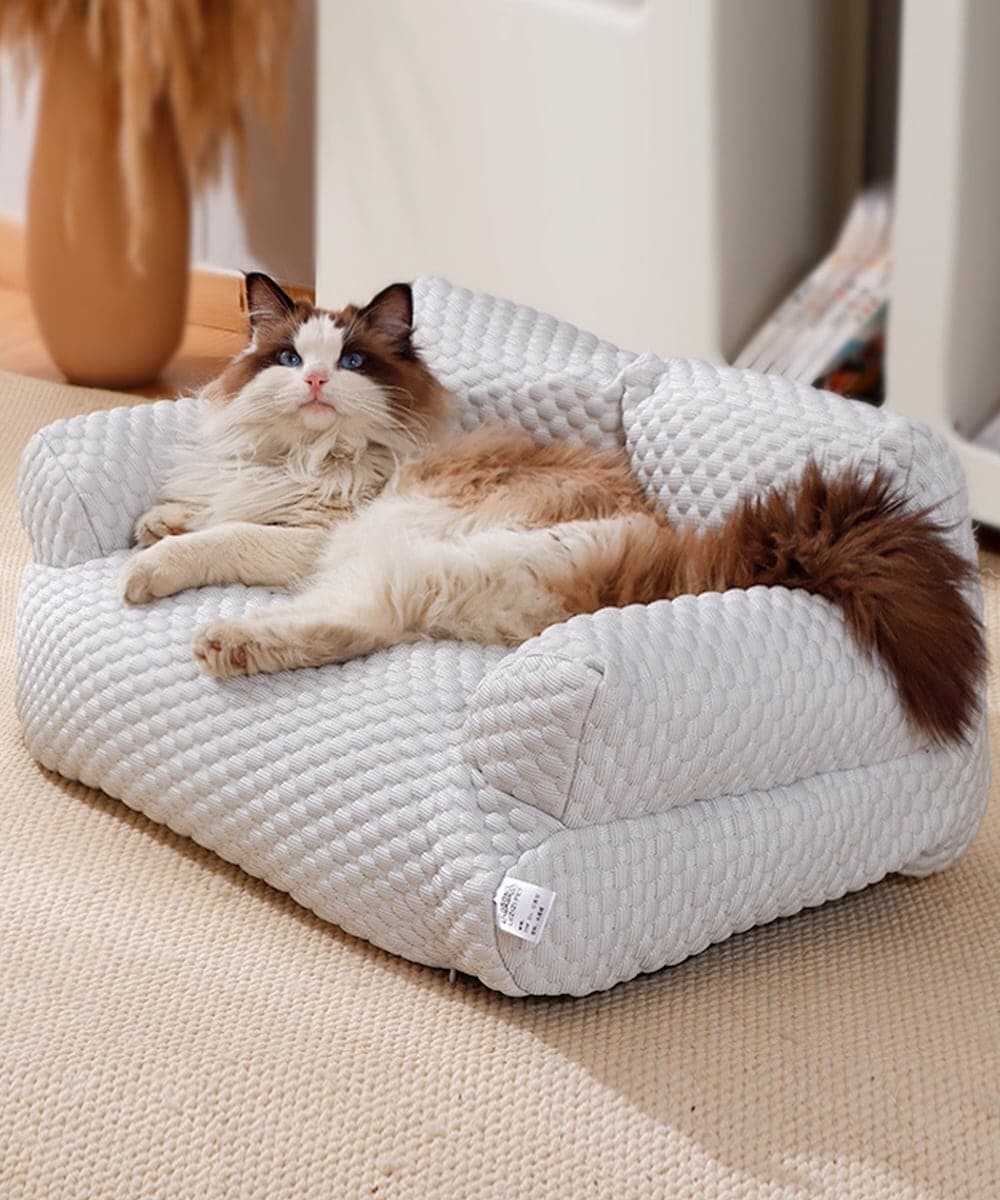 [}C] |R|Rybg\t@[/ACniaimohaj p[v