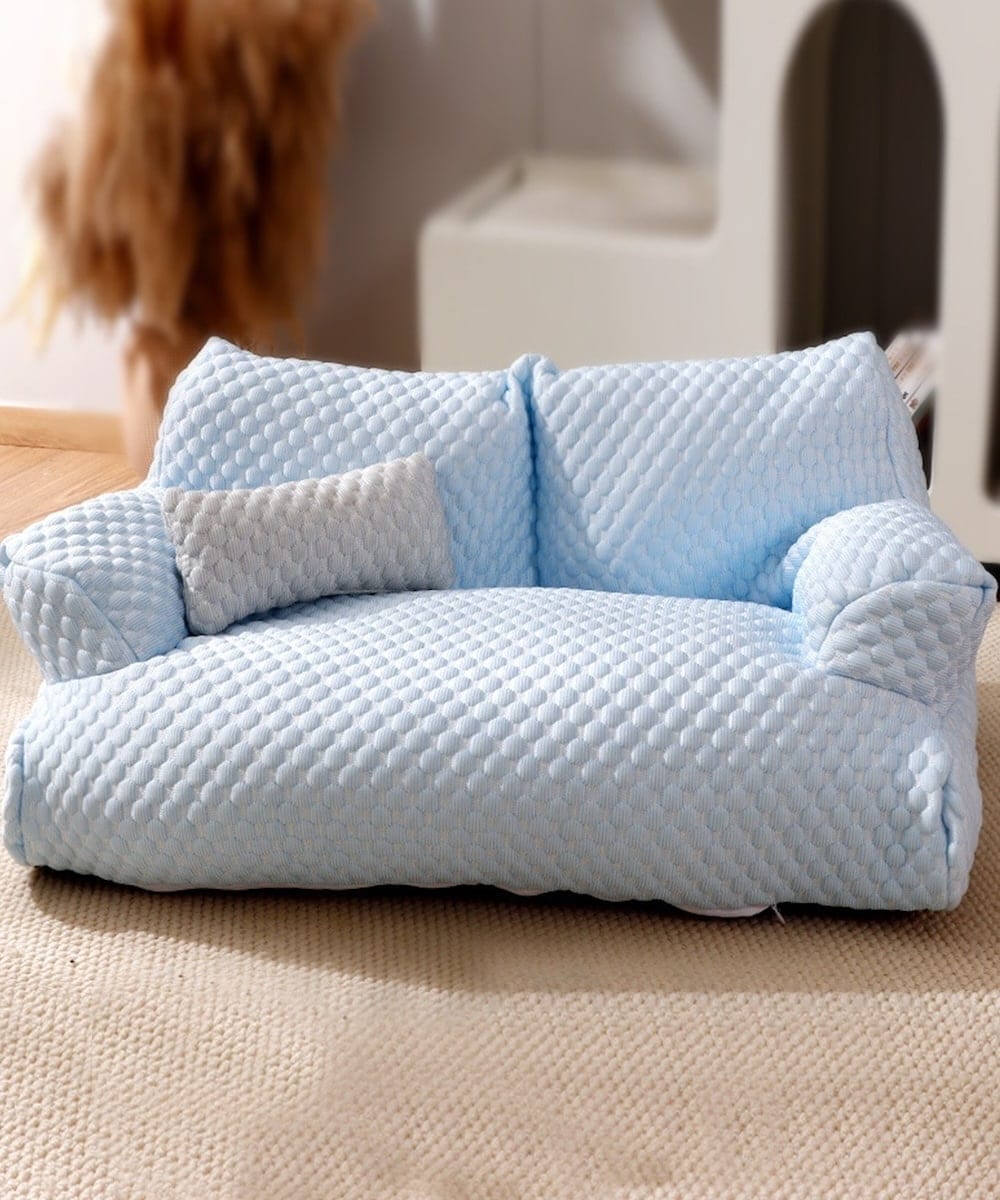 [}C] |R|Rybg\t@[/ACniaimohaj u[