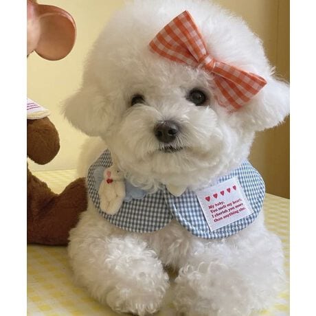 [^:mottc698131a]炵Ƒ傫ȃ{ڂA`FbÑybgpX^CB_炩yʂȑfނŁAlR܂BBe₨oAaȂǂ̓ʂȃV[ɂ҂BXibv{^ŒEȒPBǂȐF̎qɂ߃ANZT[łBFƂɈقȂ镵͋Cy߂̂ŁAF𑵂ċCɍ킹ẴR[fBl[g@ybgƂ̖ƉʂAȃ|CgACełBYɂāATCYdlقȂꍇ܂B