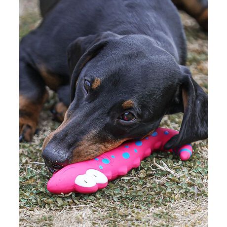 [^:moapt960357a]킢ăj[Nȃj^fUCڂ̌pBVRSfނgpA_炩e͂̂銚ݐSnŁÃf^PAƃXgXɍœKłBėVԂƂŉ^sAƂ̃R~jP[V[܂܂Bs[s[dlŁA̍DShI