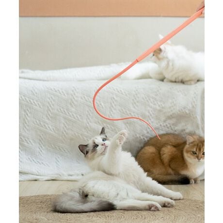 [^:momgj2821a]̔L񂪖ɂȂIL̎{\邵Ȃ₩ȔL炵BABSfނgpAϋvB[_炩Ȃ̂ŁA񂾂蒵˂A铮ɔĔL̉^s܂B͂킢LfUCŁA傳̗VѐS܂B