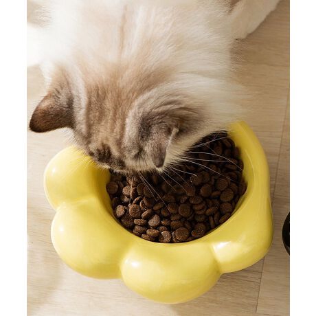 [^:mosjm5527a]ڂ `[t̃ybgHBӂƂ̌`j[NŁAH^CyĂfUCłB悢[ƍL߂̌aŁAt[h₨₷AybgHׂ₷`BƂ퐻ň芴AЂԂɂ̂|CgBVvȂ瑶݊̂J[OŁACeAƂĂBڂƎp˔t[h{EŁAEL̐HԂƉKɁB